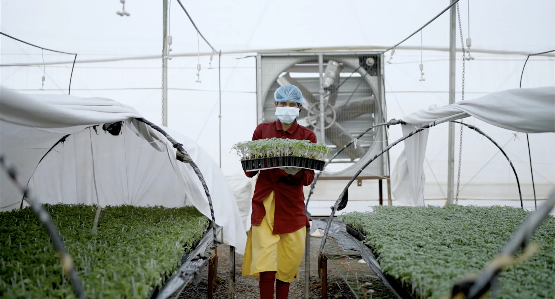 Visit Our Nursery